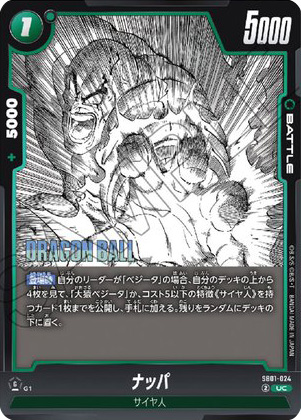 ナッパ[SB01-024]